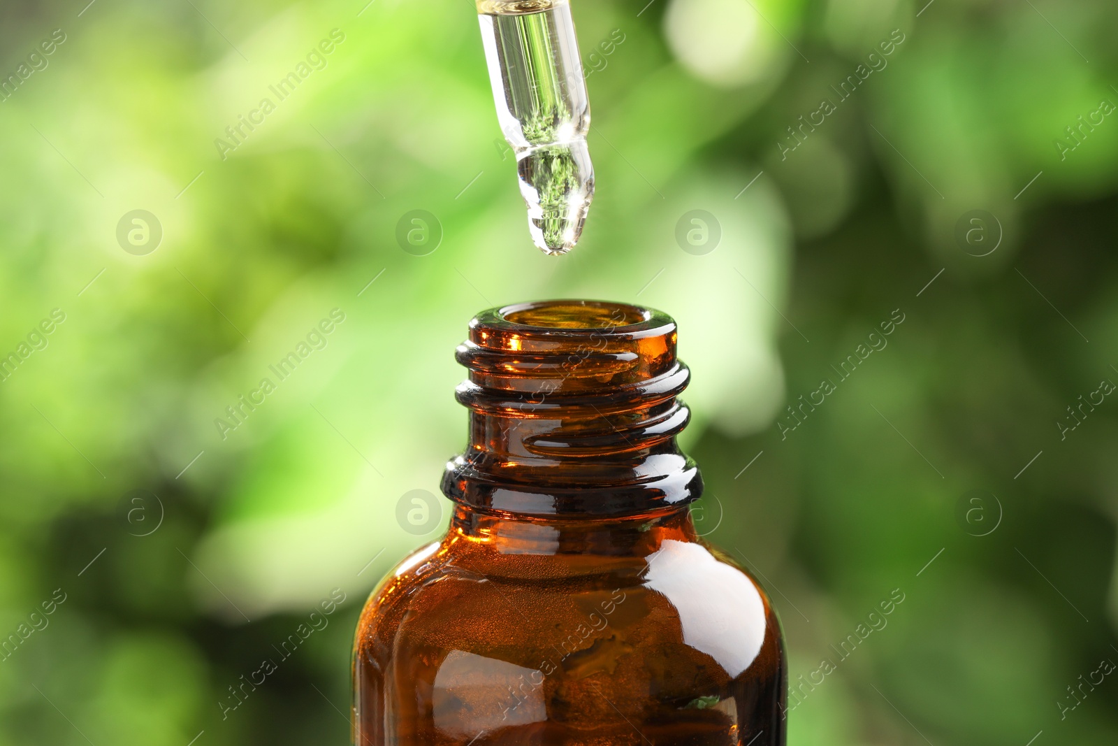 Photo of Essential oil dripping from pipette into bottle against blurred green background, closeup