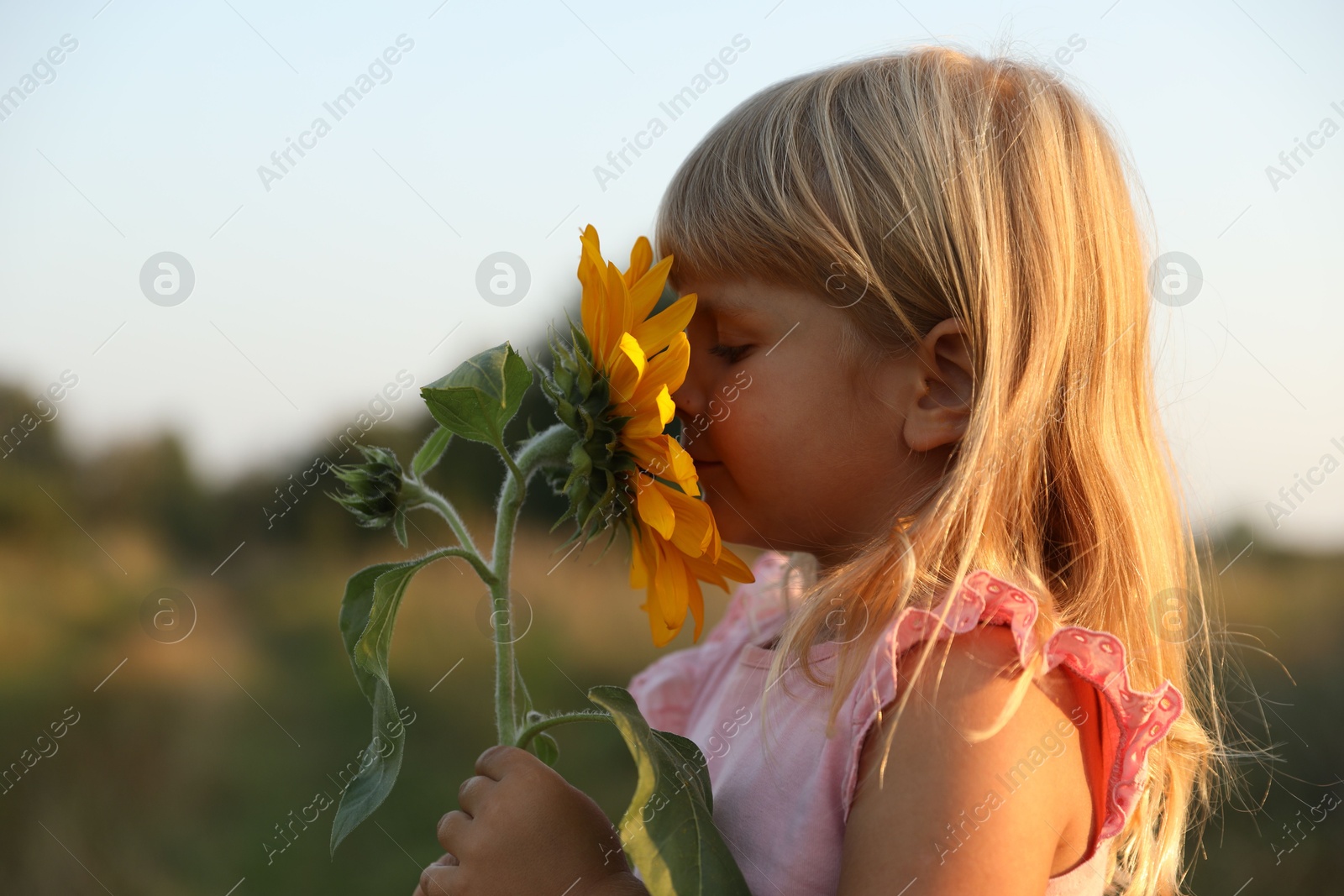 Photo of Little girl with sunflower at meadow. Child enjoying beautiful nature