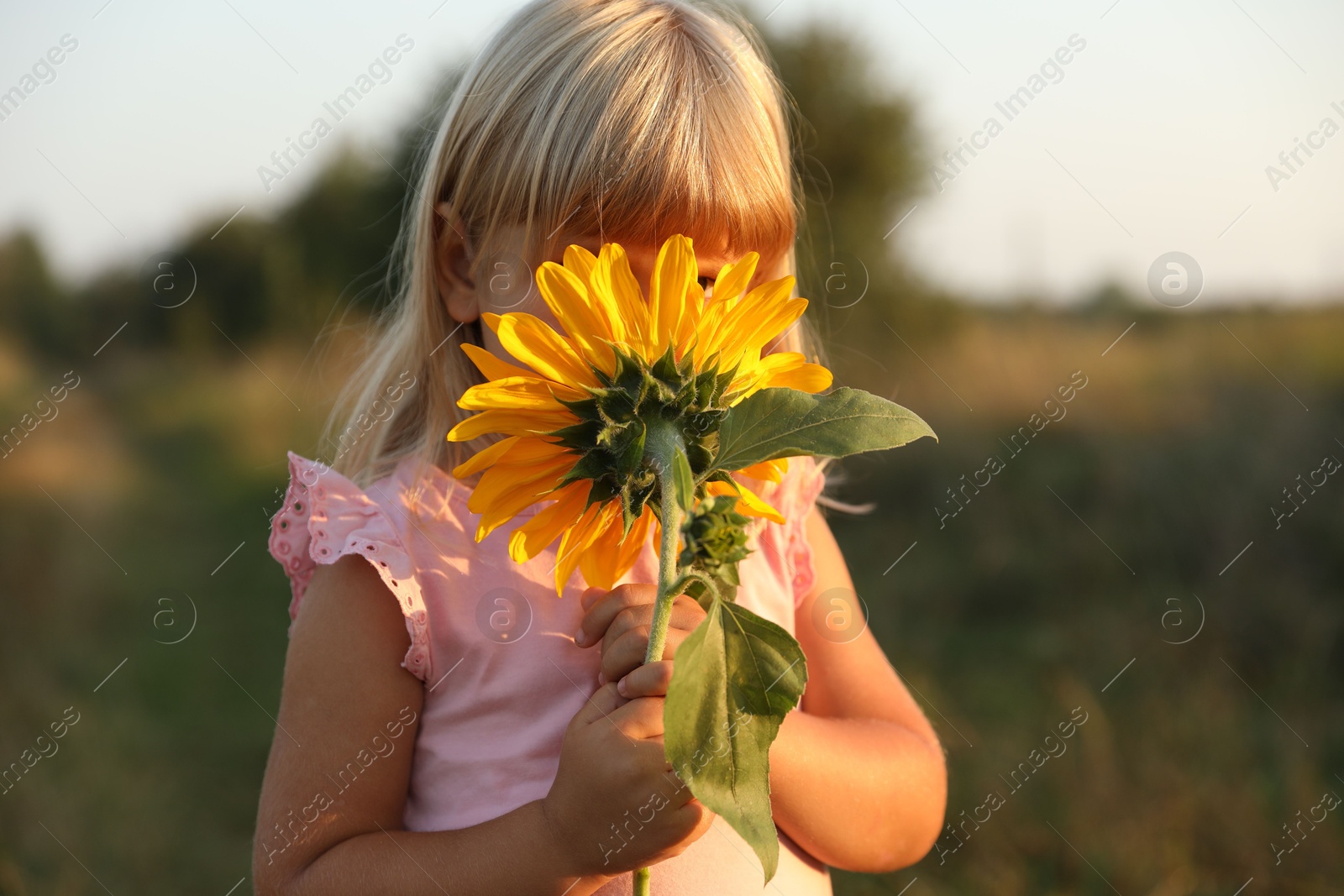 Photo of Little girl with sunflower at meadow. Child enjoying beautiful nature