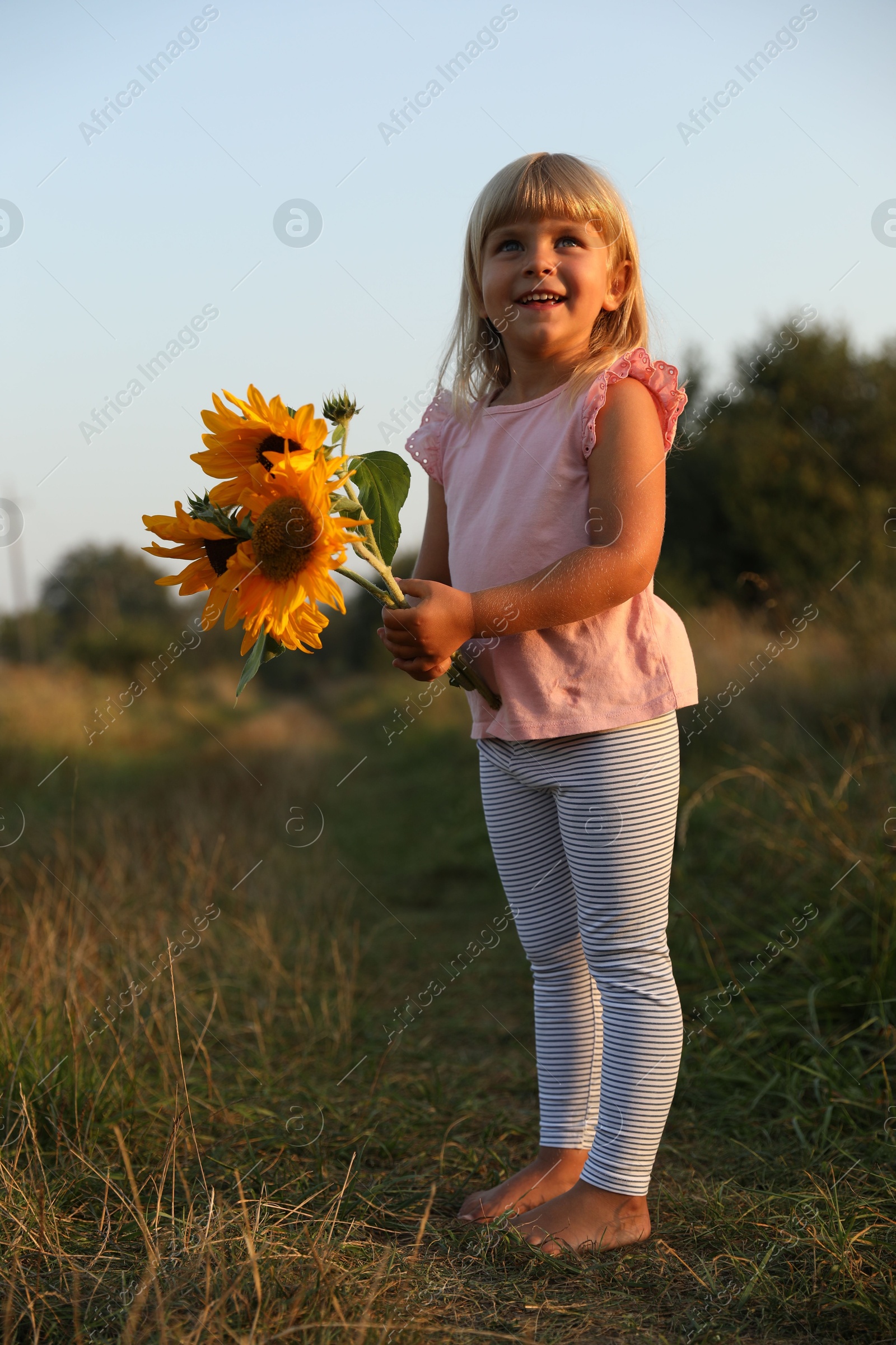 Photo of Little girl with sunflowers at meadow. Child enjoying beautiful nature