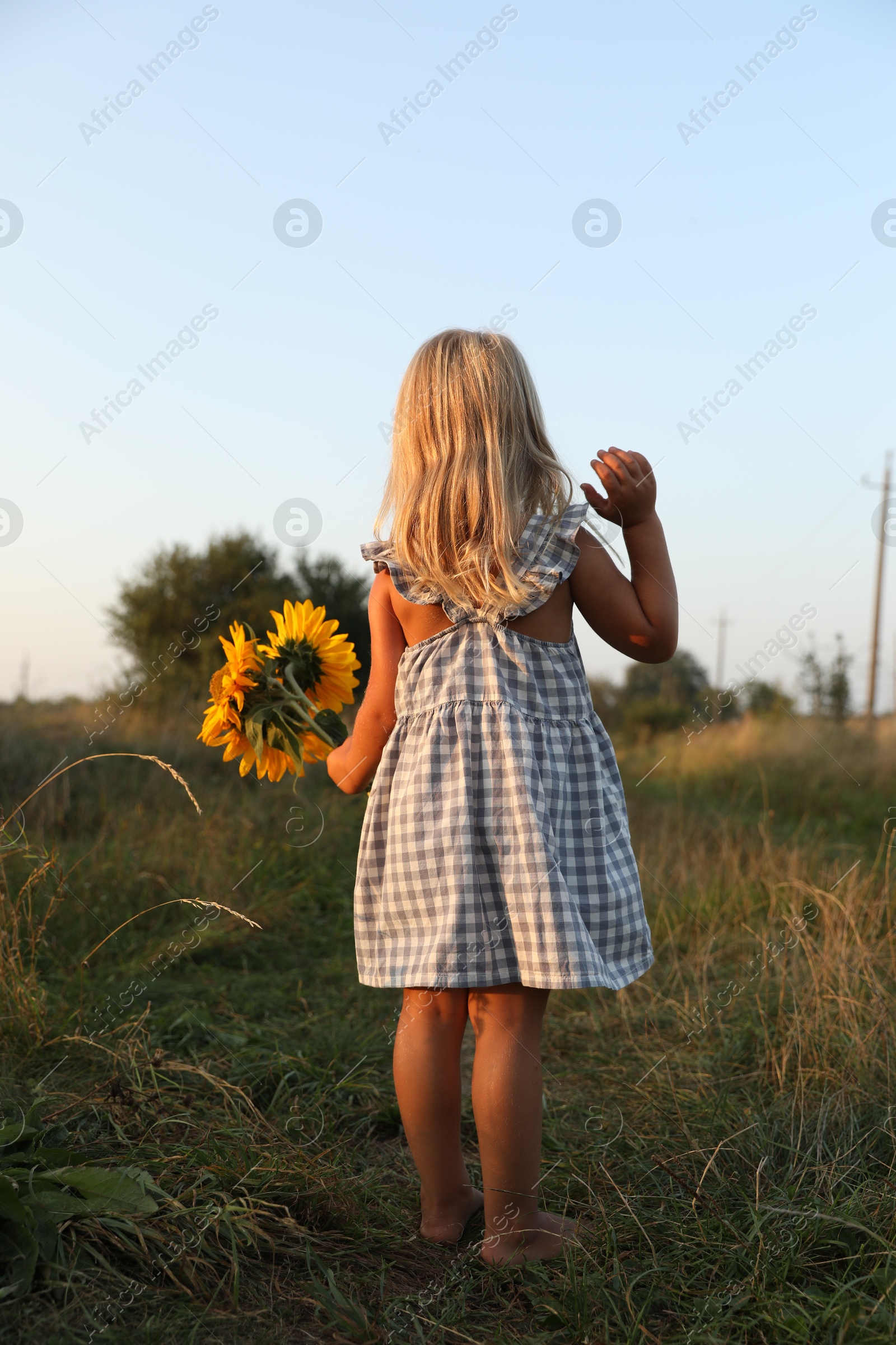 Photo of Little girl with sunflowers at meadow, back view. Child enjoying beautiful nature