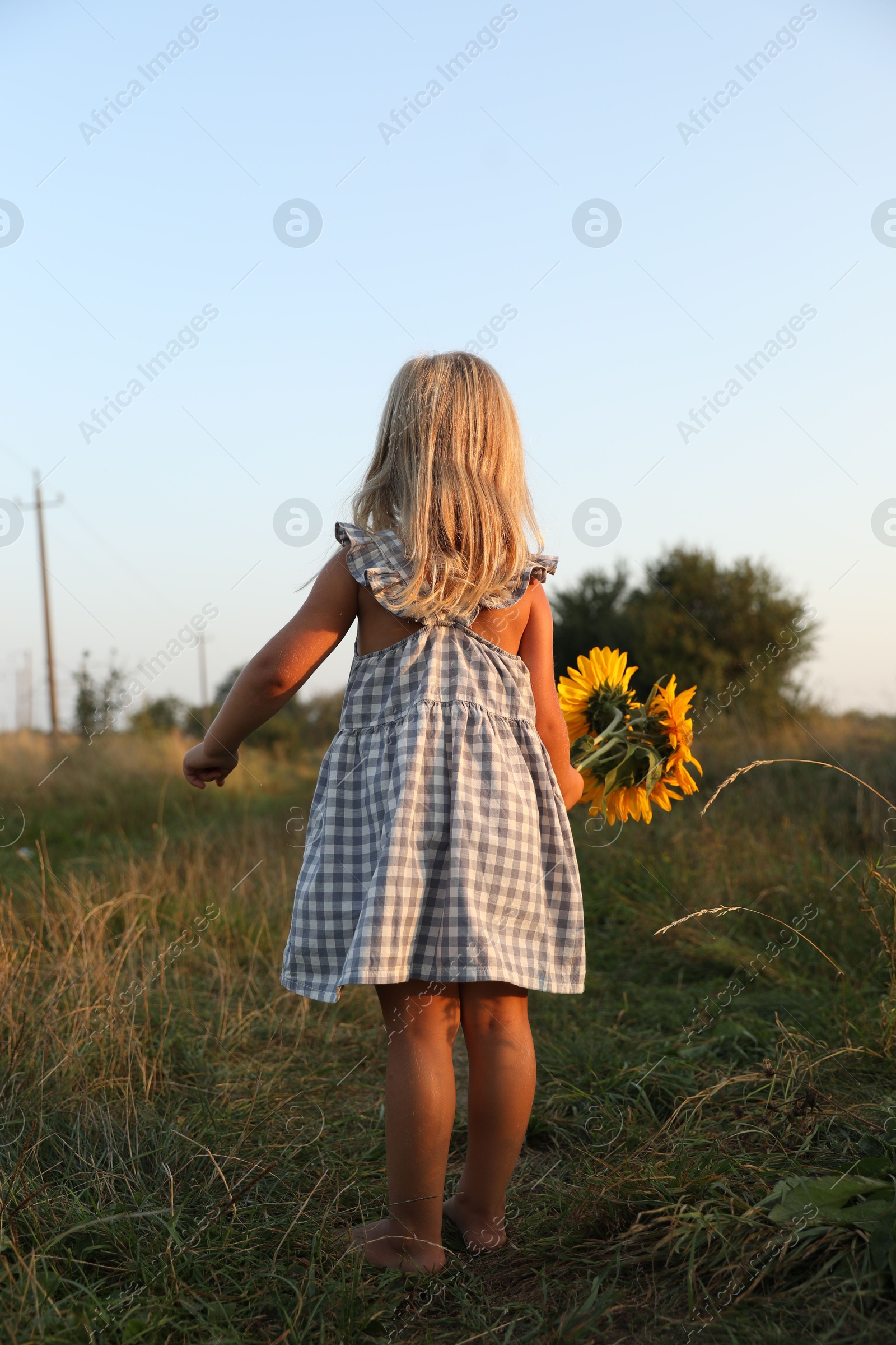 Photo of Little girl with sunflowers at meadow, back view. Child enjoying beautiful nature