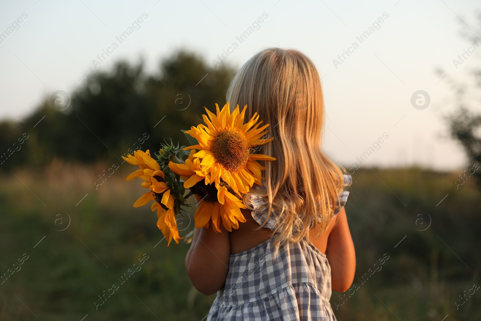 Photo of Little girl with sunflowers at meadow, back view. Child enjoying beautiful nature