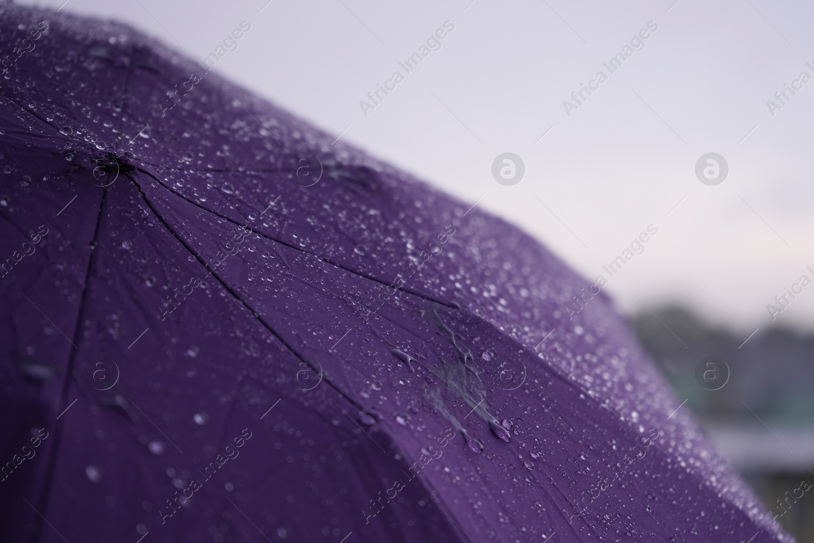 Open purple umbrella outdoors on rainy day, closeup Photo of Open purple umbrella outdoors on rainy day, closeup