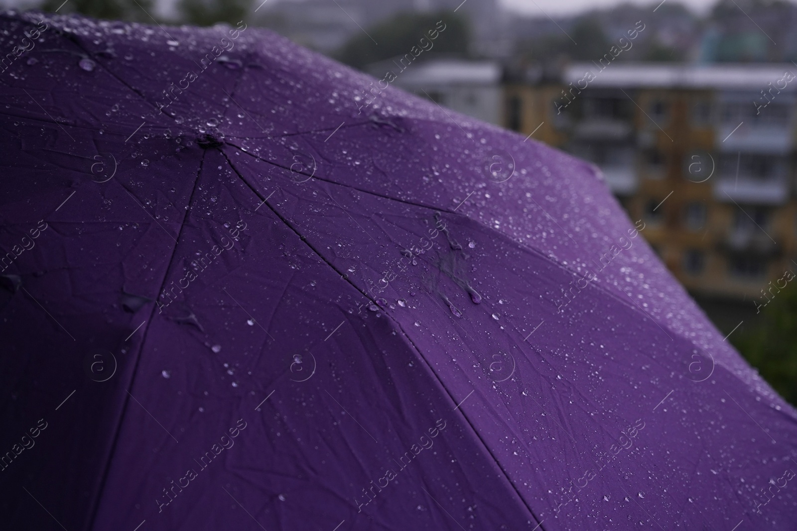 Open purple umbrella outdoors on rainy day, closeup Photo of Open purple umbrella outdoors on rainy day, closeup
