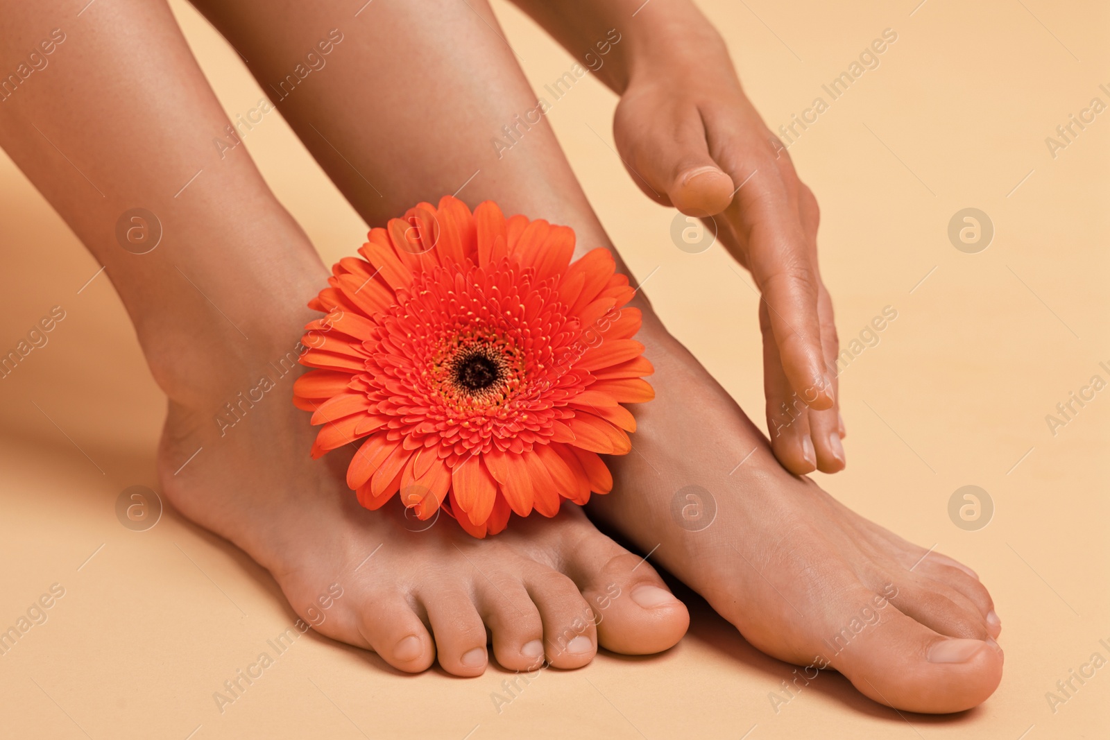 Photo of Woman touching her smooth feet on beige background, closeup