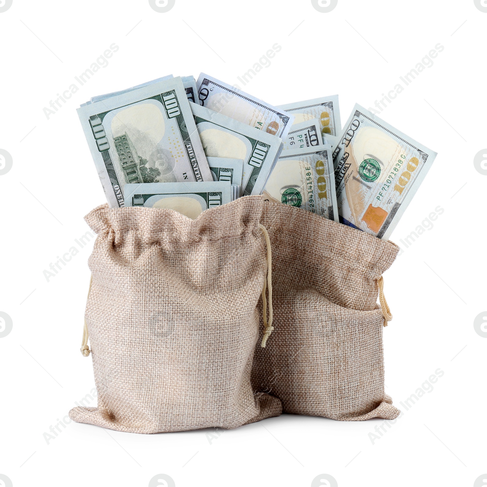 Photo of Dollar banknotes in bags isolated on white