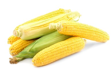 Many fresh ripe corncobs isolated on white