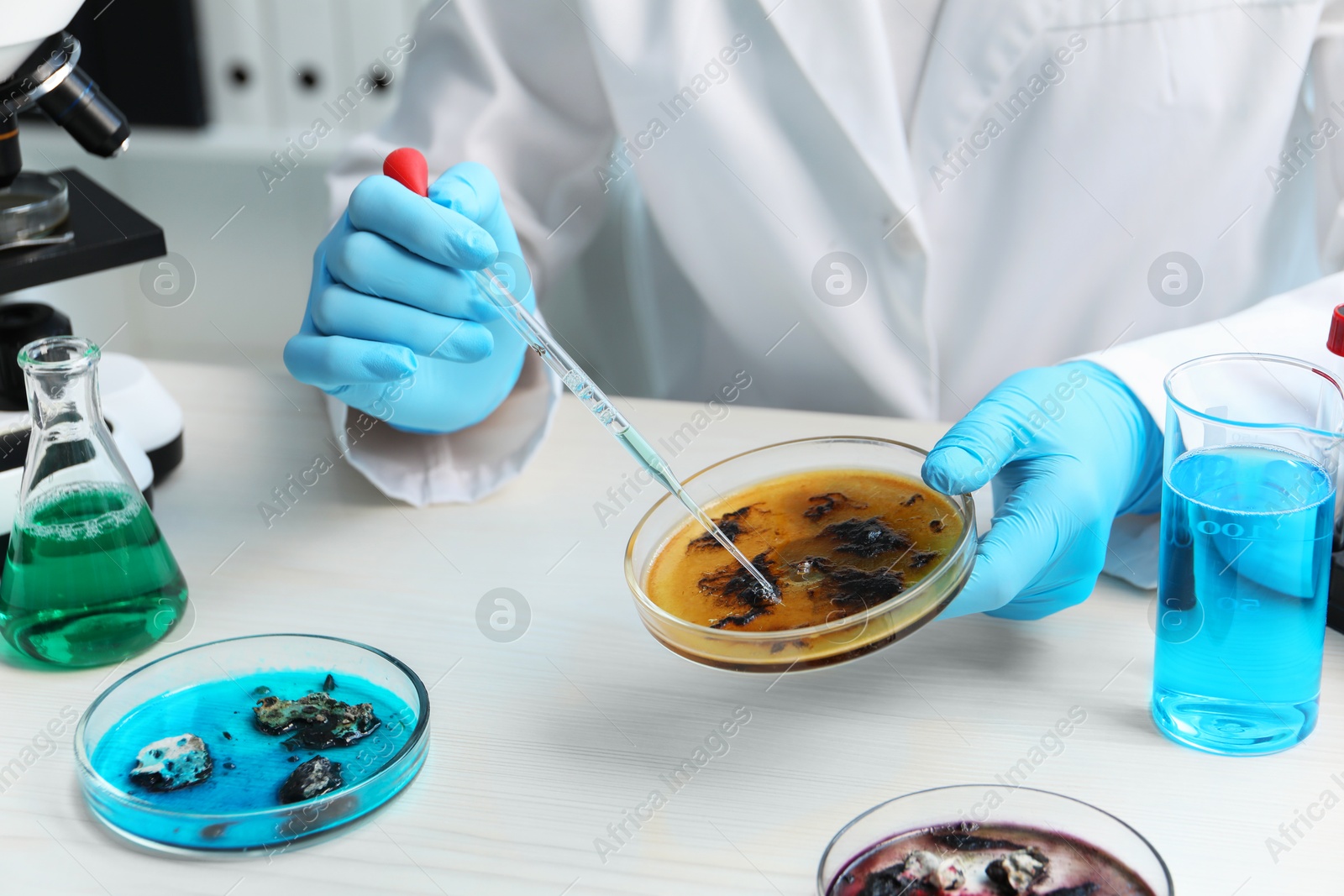 Photo of Laboratory worker dripping sample from pipette into petri dish at white table indoors, closeup