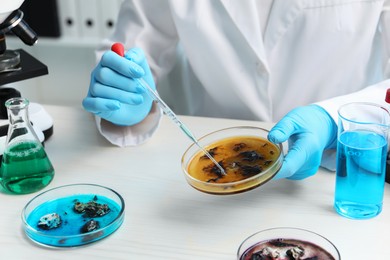 Photo of Laboratory worker dripping sample from pipette into petri dish at white table indoors, closeup