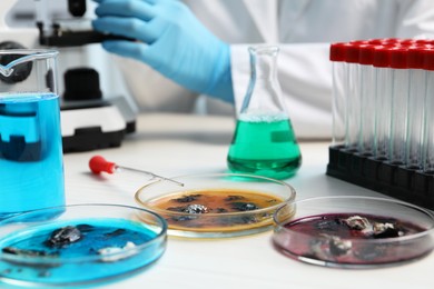 Photo of Petri dishes with samples on white table and scientist working in laboratory, selective focus