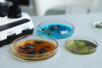 Photo of Petri dishes with samples and microscope on light table, closeup