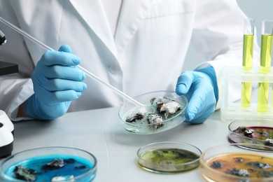 Photo of Laboratory worker taking sample with pipette from petri dish at light table, closeup