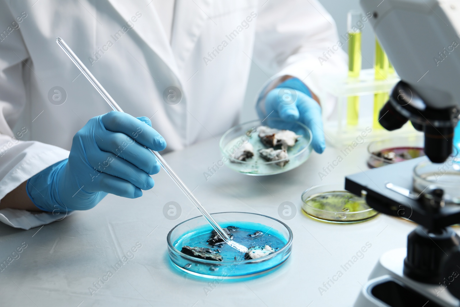 Photo of Laboratory worker taking sample with pipette from petri dish at light table, closeup