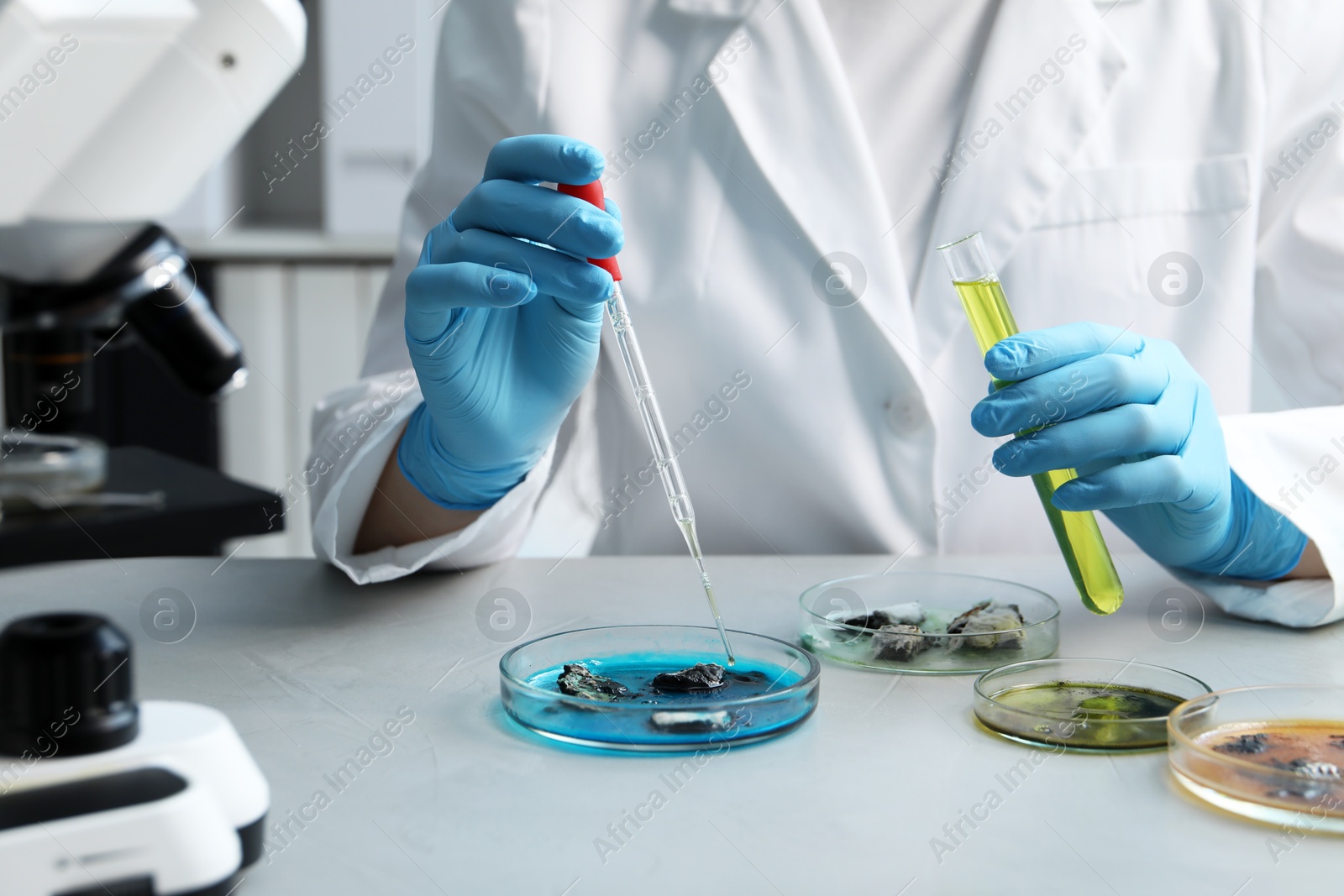 Photo of Laboratory worker with test tube dripping sample from pipette into petri dish at light table, closeup