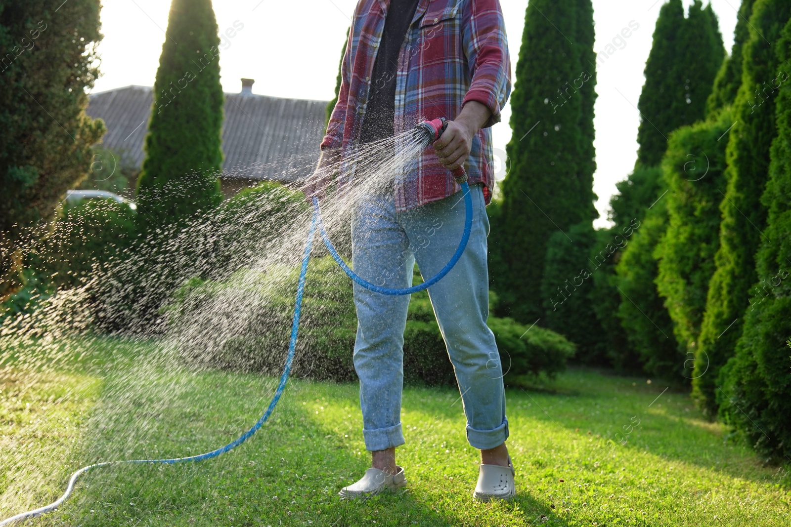 Photo of Man watering green grass on lawn in backyard, closeup