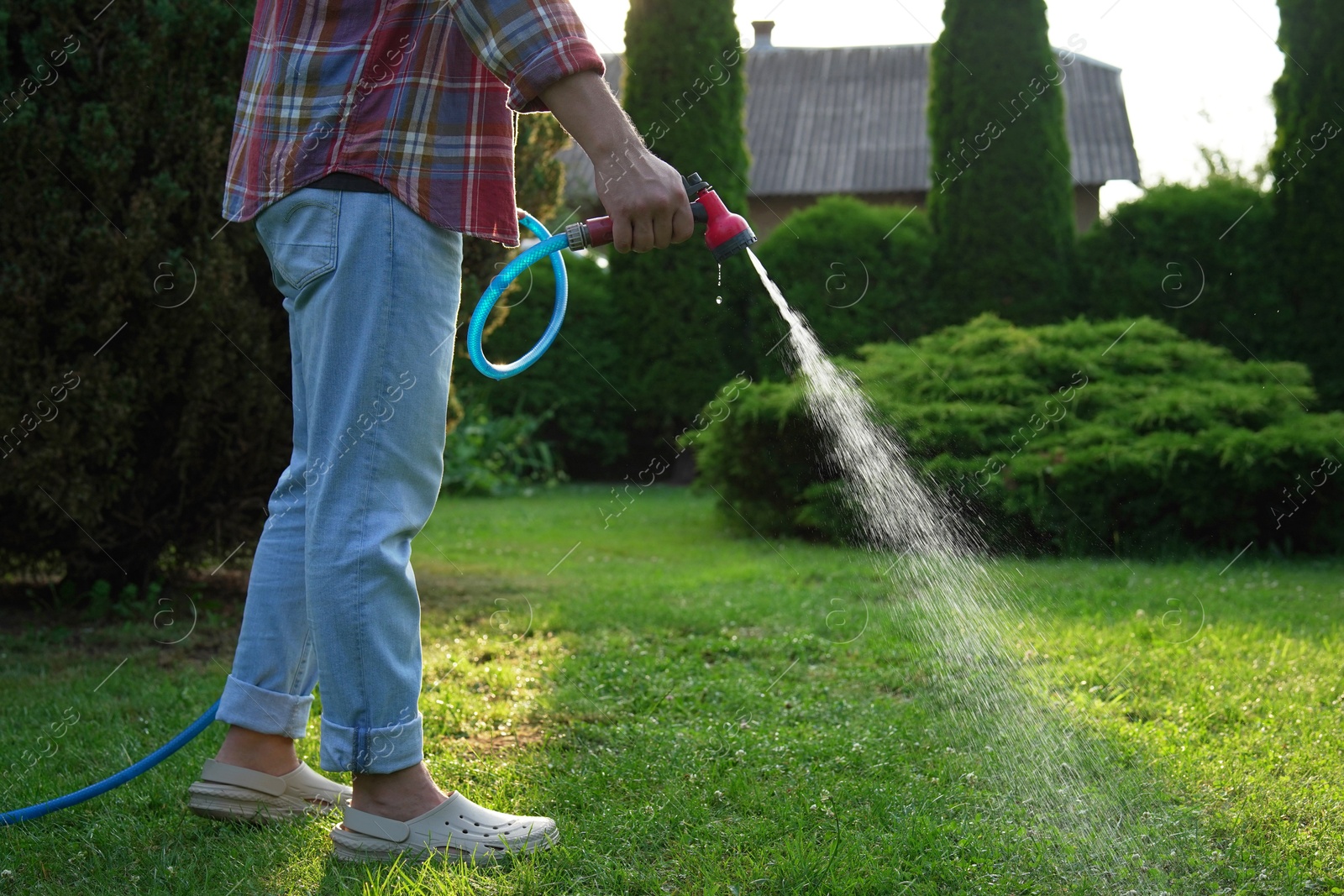 Photo of Man watering green grass on lawn in backyard, closeup