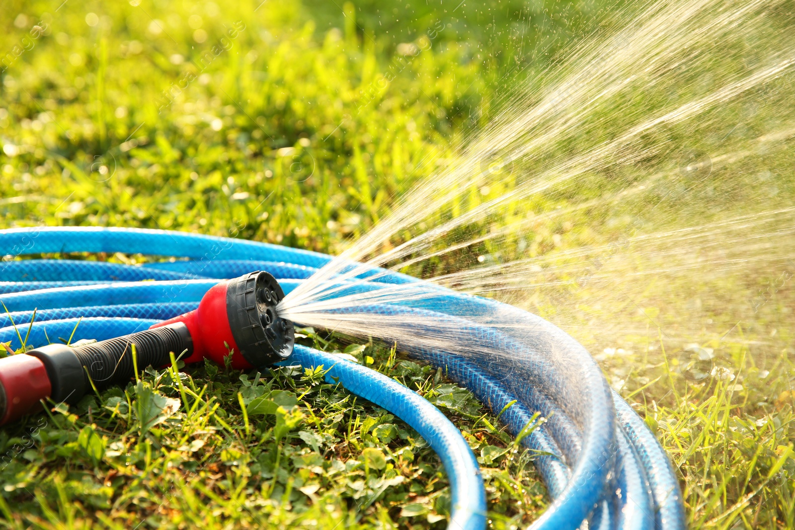 Photo of Water spraying from hose on green grass outdoors