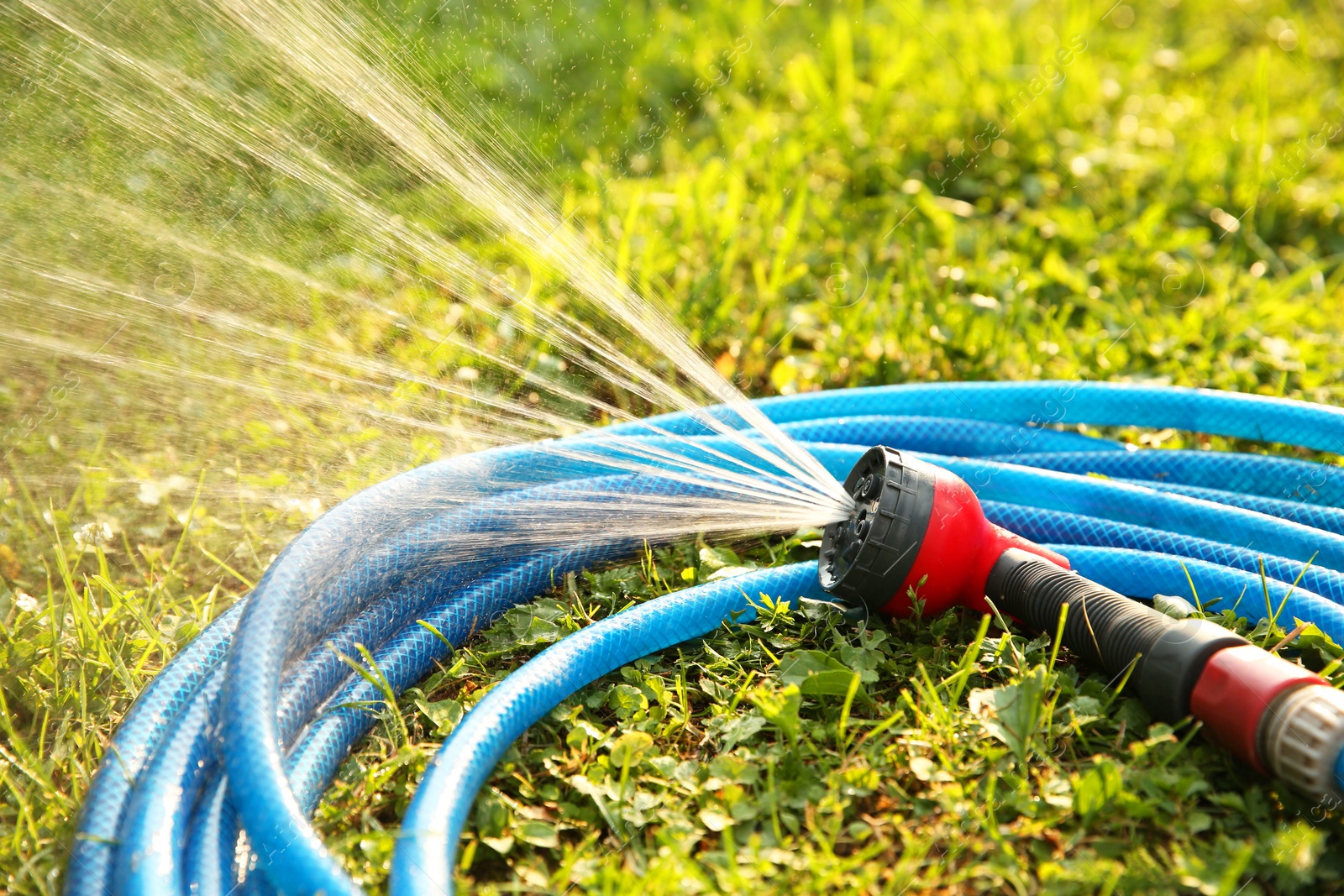 Photo of Water spraying from hose on green grass outdoors