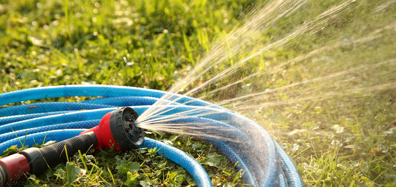 Photo of Water spraying from hose on green grass outdoors