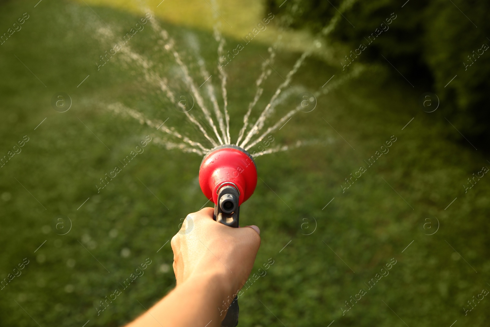 Photo of Man watering lawn with hose in backyard, closeup