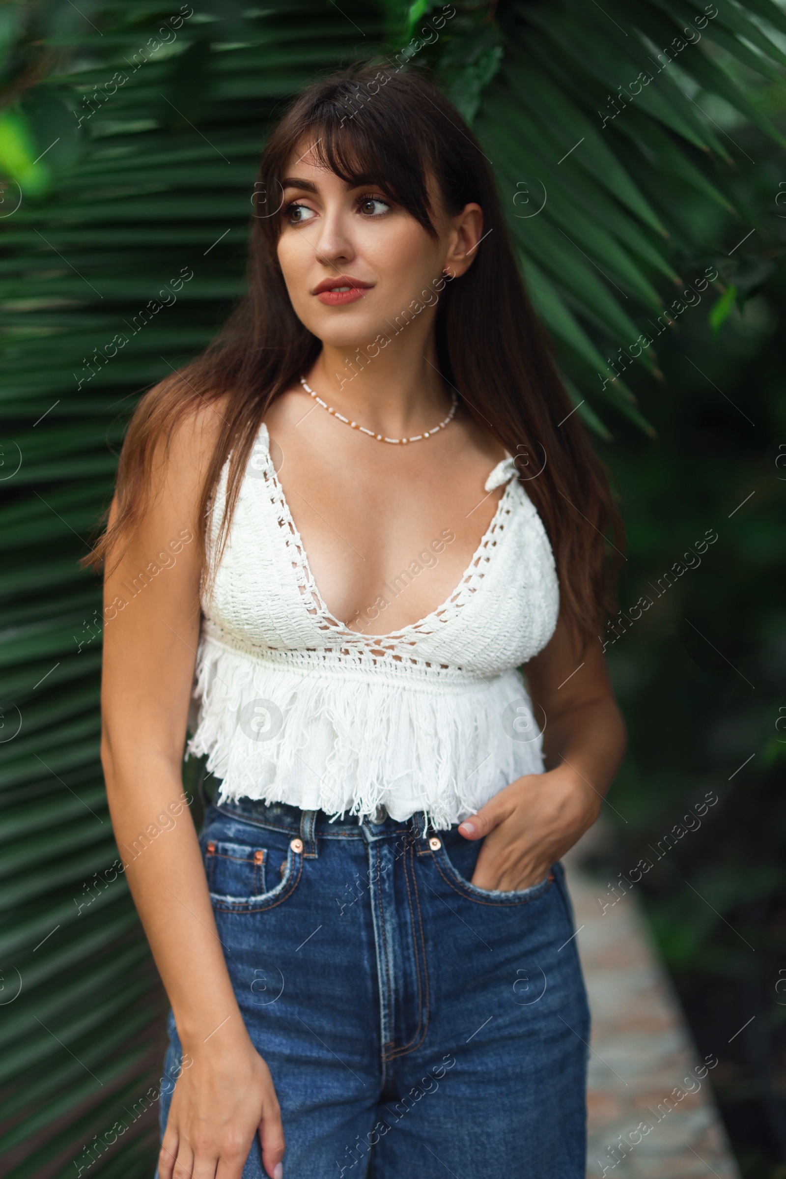 Photo of Portrait of beautiful woman near palm leaves outdoors