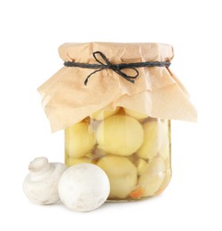 Photo of Tasty pickled mushrooms in jar and fresh ingredients isolated on white