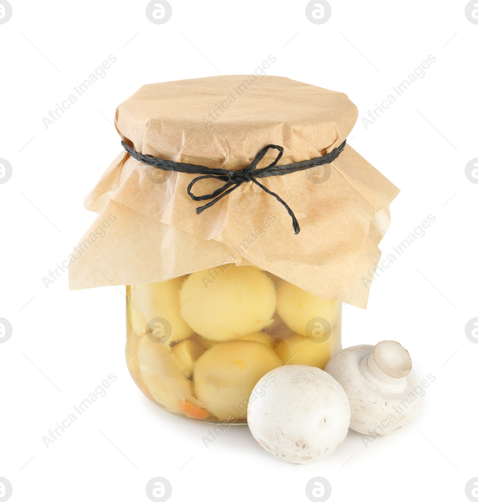 Photo of Tasty pickled mushrooms in jar and fresh ingredients isolated on white