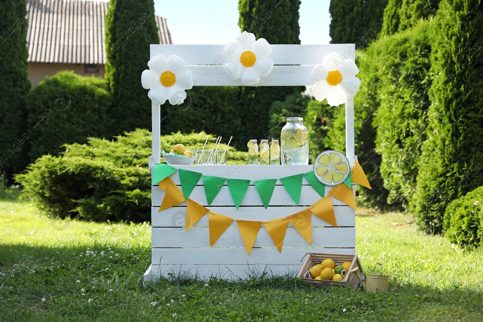 Photo of Lemonade stand with refreshing drink and fresh fruits in park