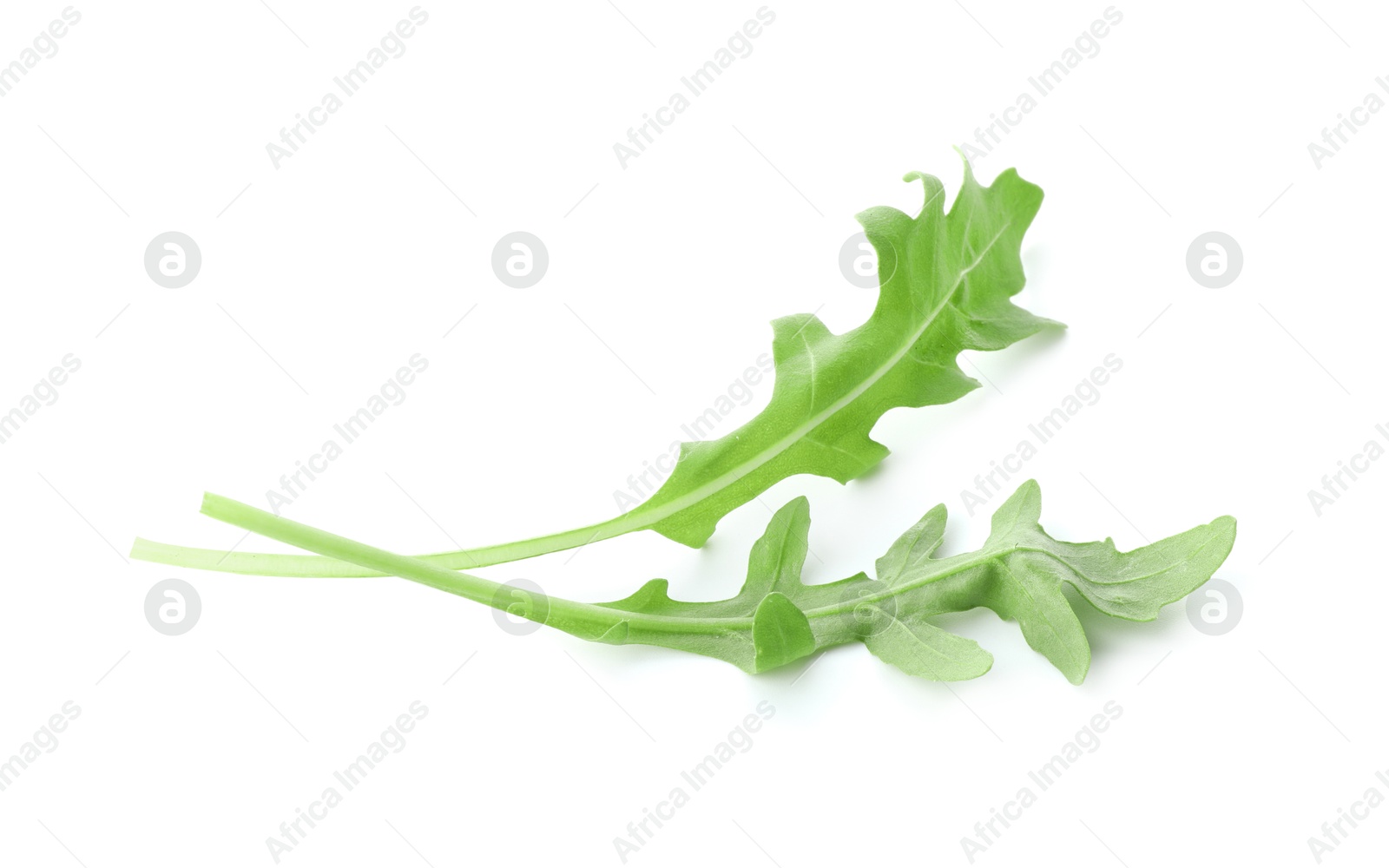 Photo of Two fresh arugula leaves on white background