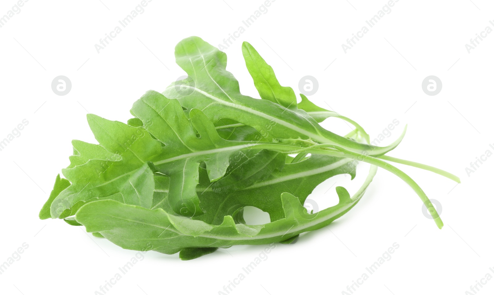 Photo of Many fresh arugula leaves on white background