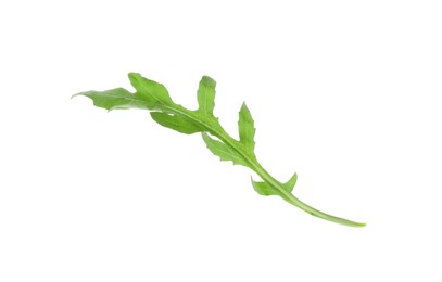 Photo of One fresh arugula leaf on white background