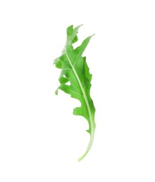 Photo of One fresh arugula leaf on white background