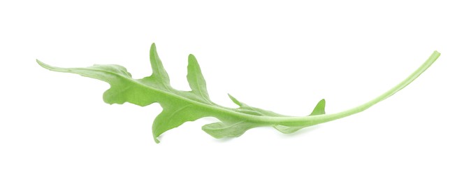 Photo of One fresh arugula leaf isolated on white