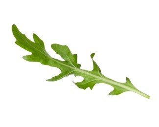 Photo of One fresh arugula leaf isolated on white