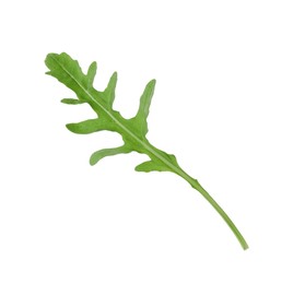 Photo of One fresh arugula leaf isolated on white