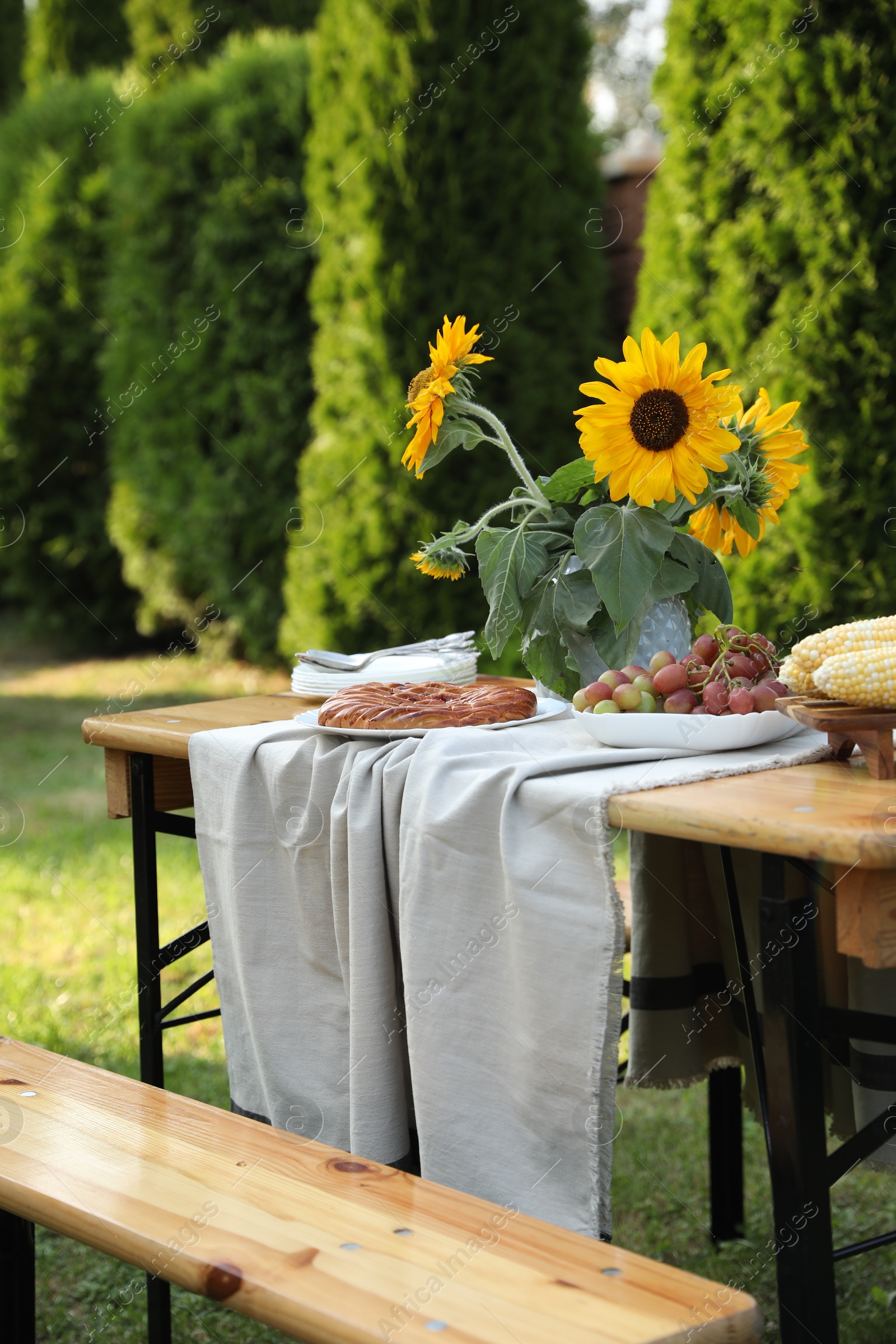 Photo of Vase with sunflowers, grapes, pie and corncobs on wooden table in garden