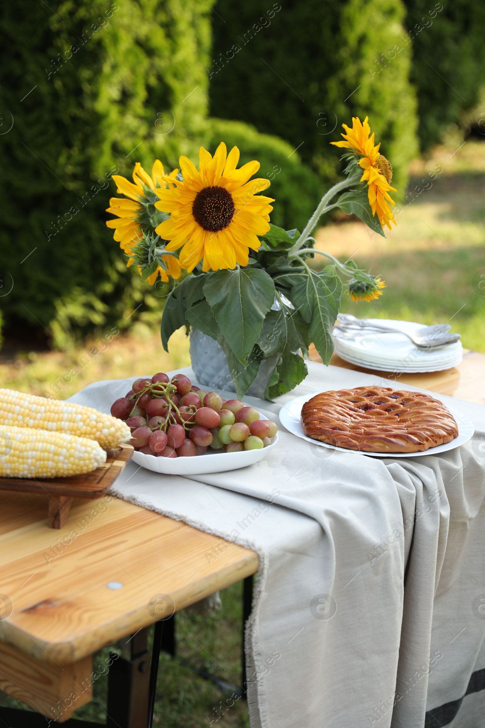 Photo of Vase with sunflowers, grapes, pie and corncobs on wooden table in garden