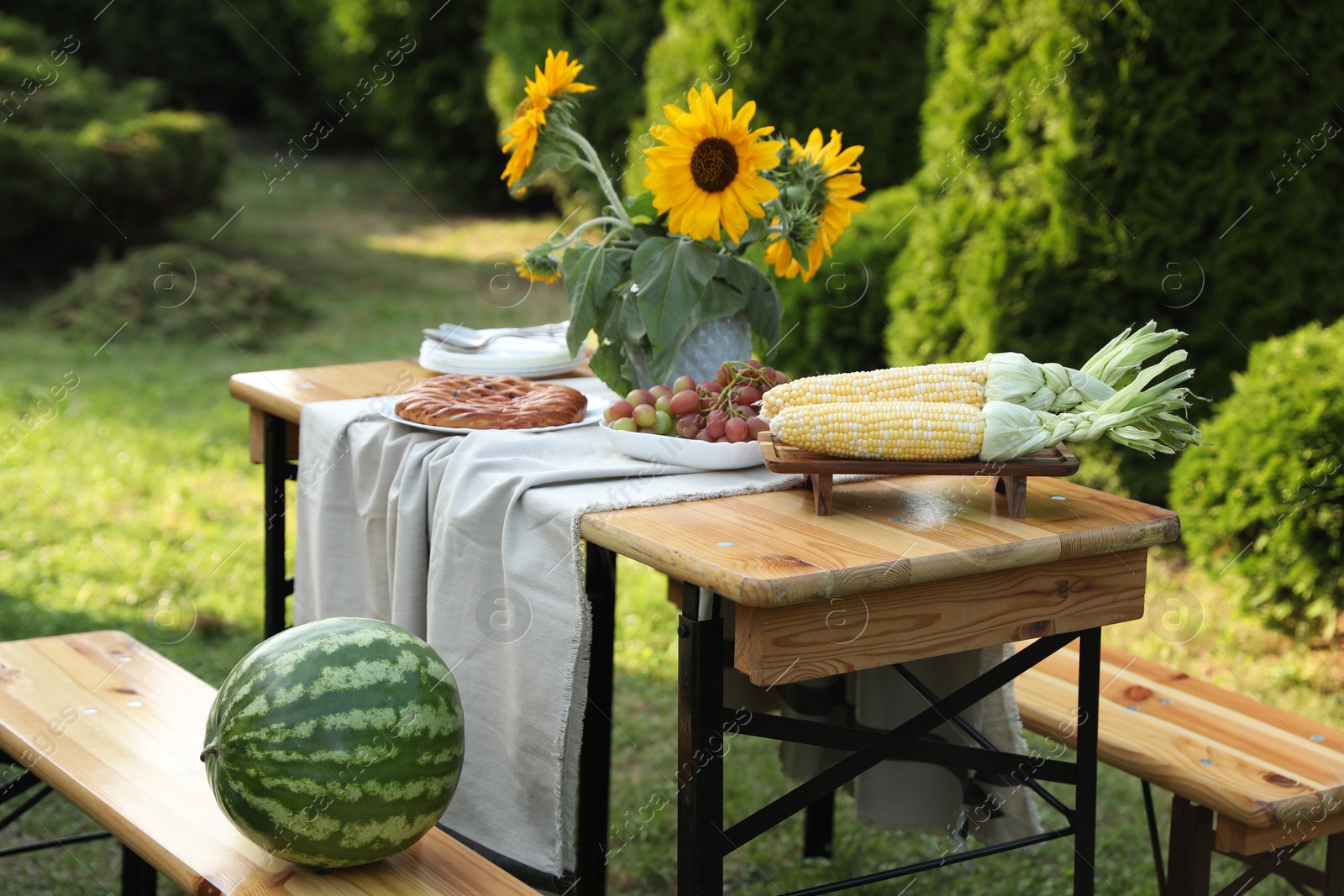 Photo of Ripe watermelon on wooden bench near table with fresh products and sunflowers in garden