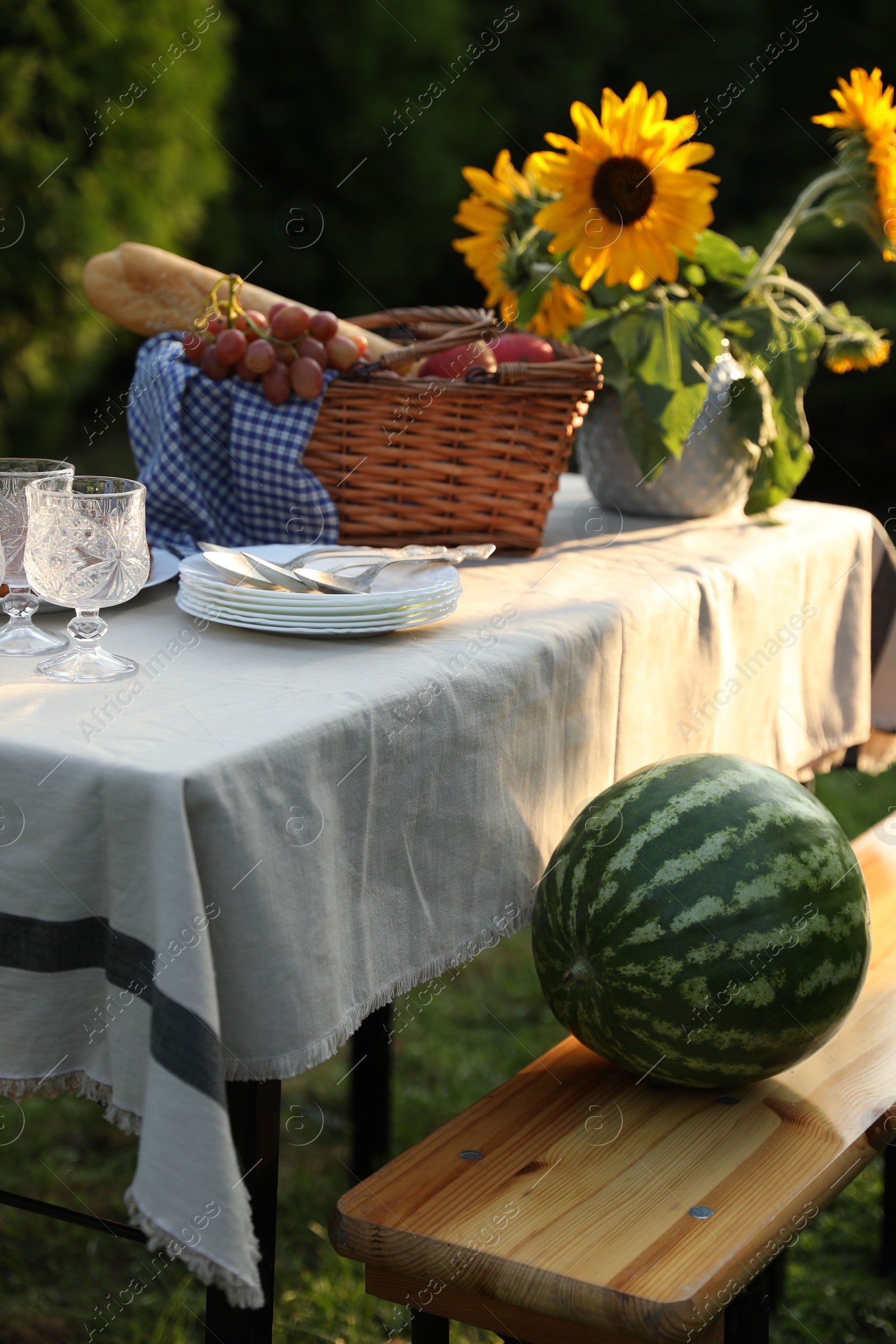 Photo of Plates, fresh products and sunflowers on table in garden