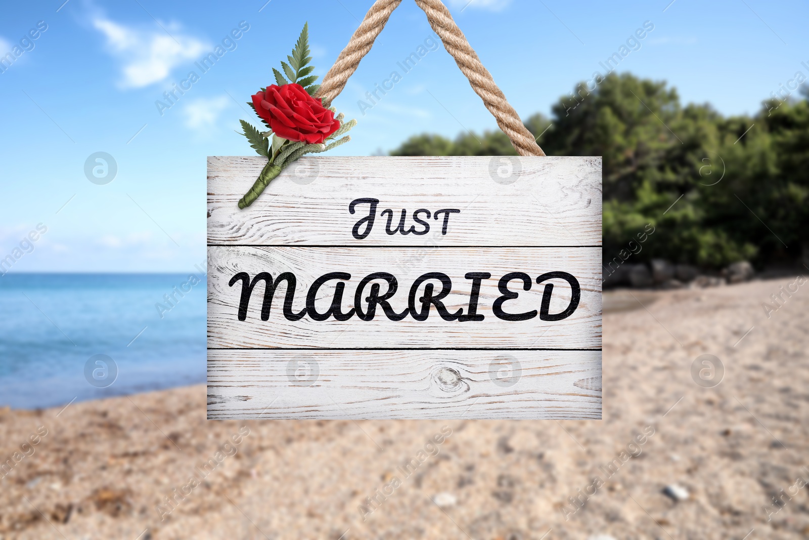 Image of Honeymoon. White wooden board with words Just Married and boutonniere on sandy seashore