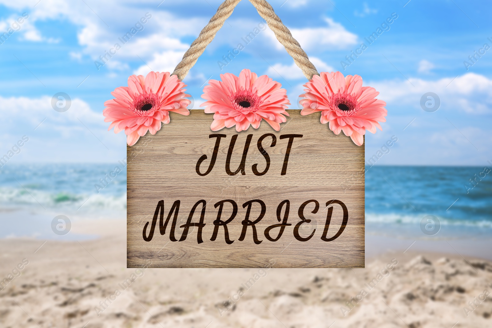 Image of Honeymoon. Wooden board with words Just Married and flowers on sandy seashore