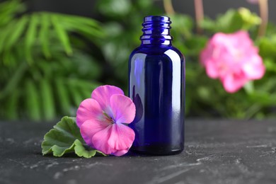 Photo of Bottle of geranium essential oil and beautiful flower on black table, closeup