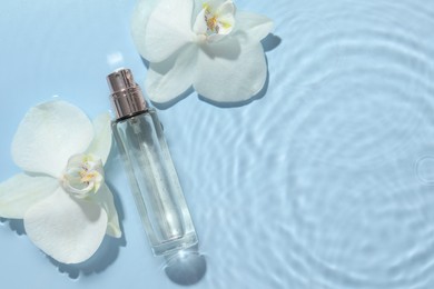 Beautiful orchid flowers and bottle of perfume in water on light blue background, flat lay. Space for text