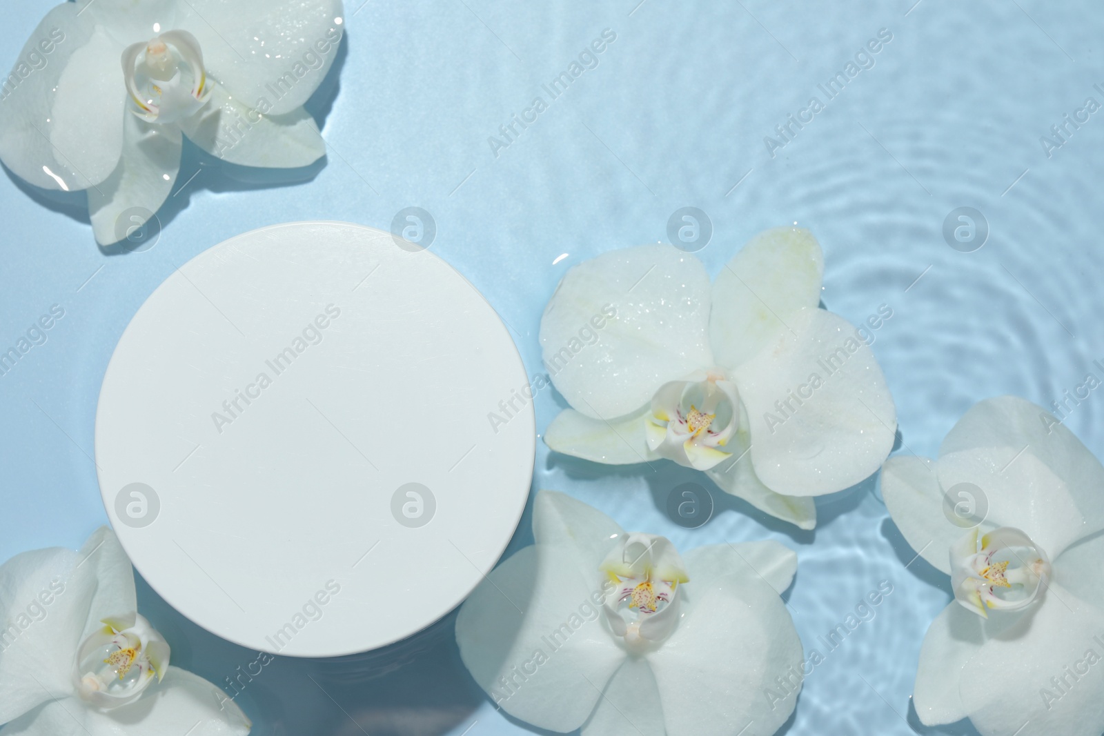 Photo of Beautiful orchid flowers and podium in water on light blue background, flat lay. Presentation for product