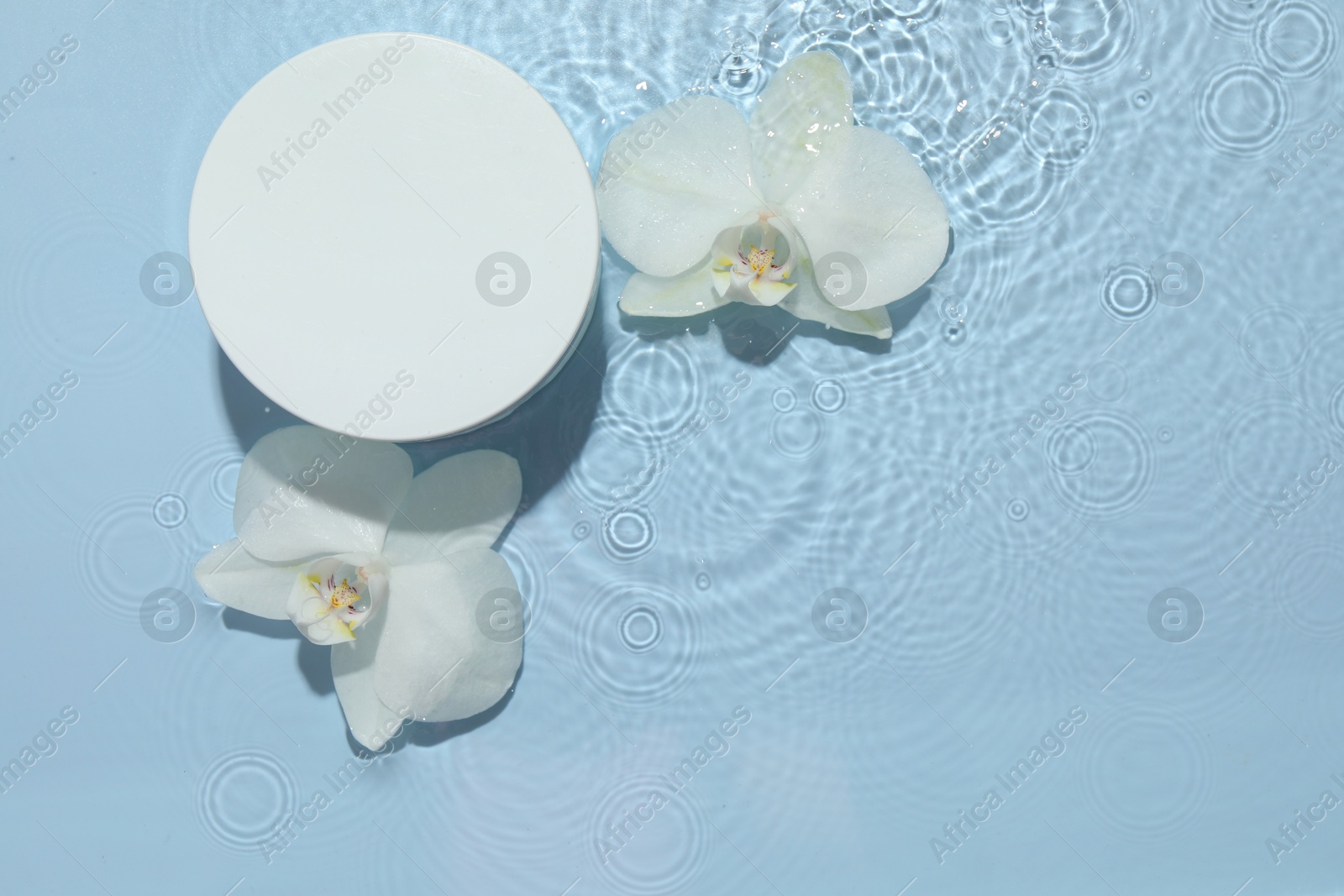 Photo of Product presentation. Beautiful orchid flowers and podium in water on light blue background, flat lay. Space for text