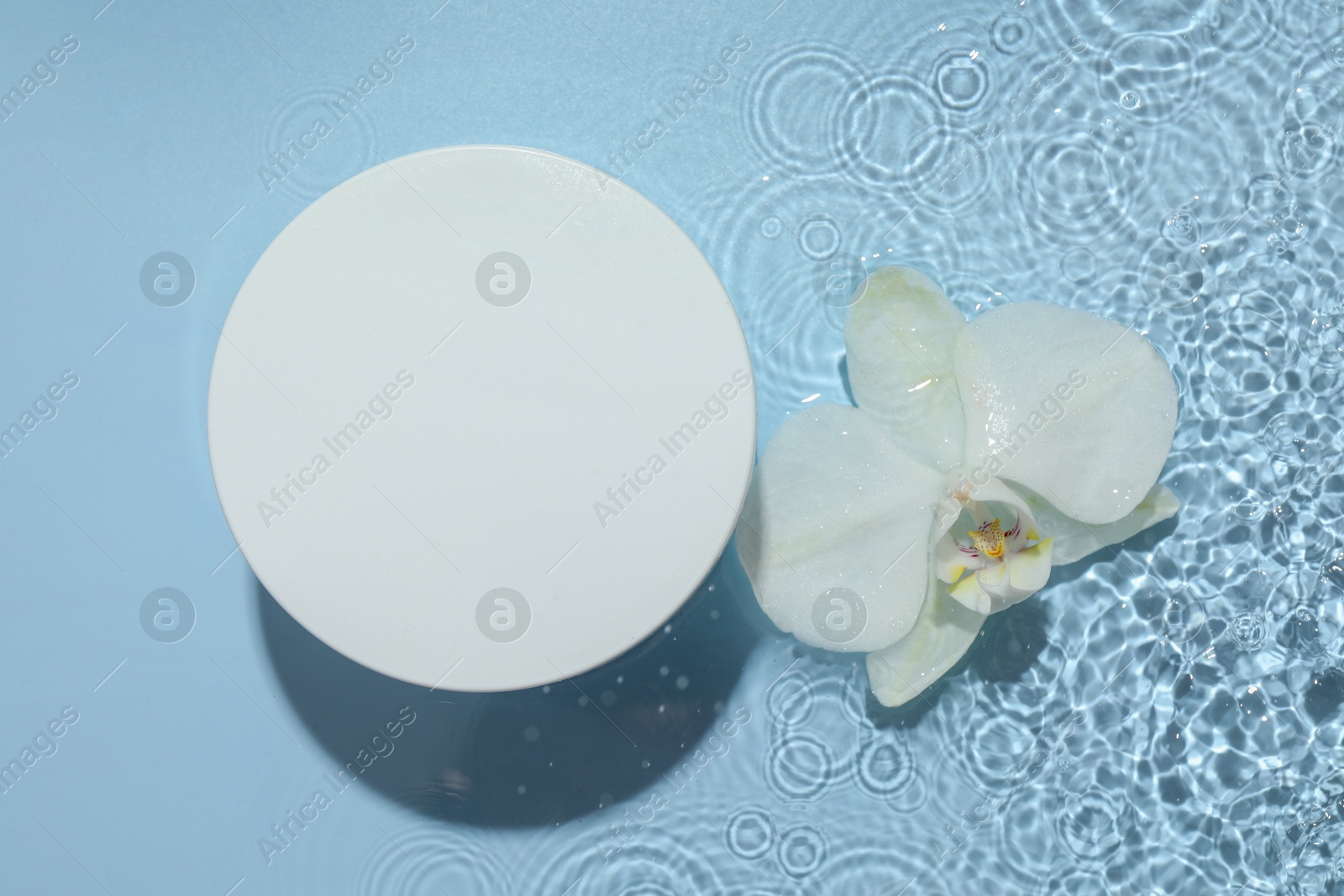 Photo of Beautiful orchid flower and podium in water on light blue background, flat lay. Presentation for product