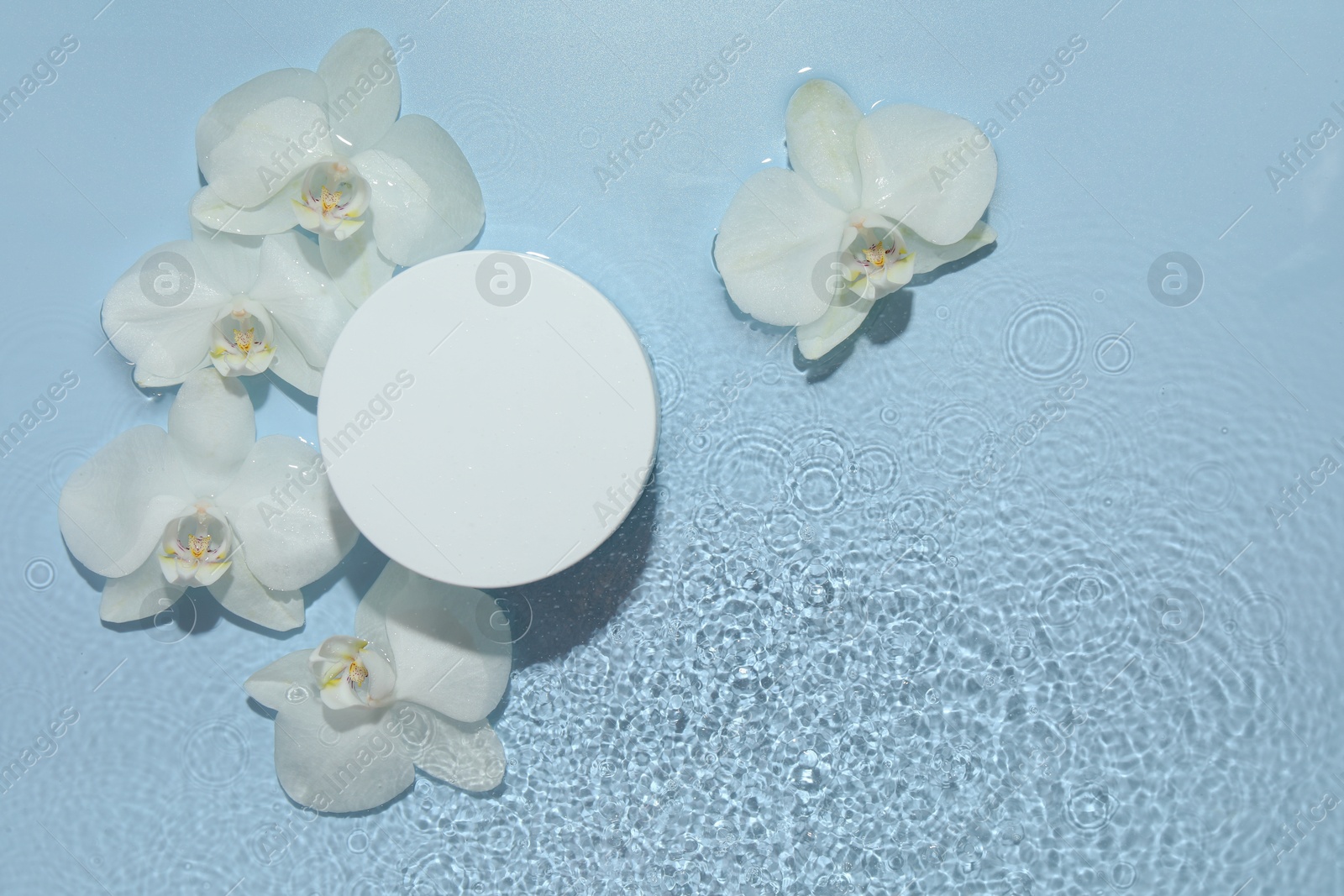 Photo of Product presentation. Beautiful orchid flowers and podium in water on light blue background, flat lay. Space for text