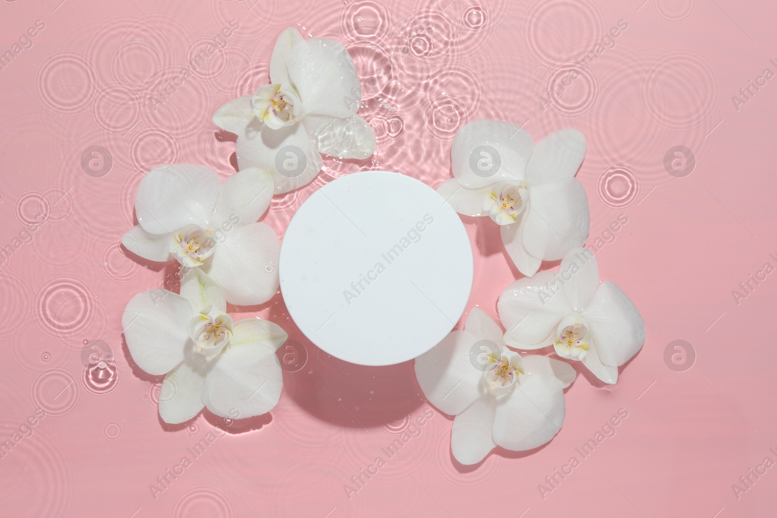 Photo of Beautiful orchid flowers and podium in water on pink background, flat lay. Presentation for product