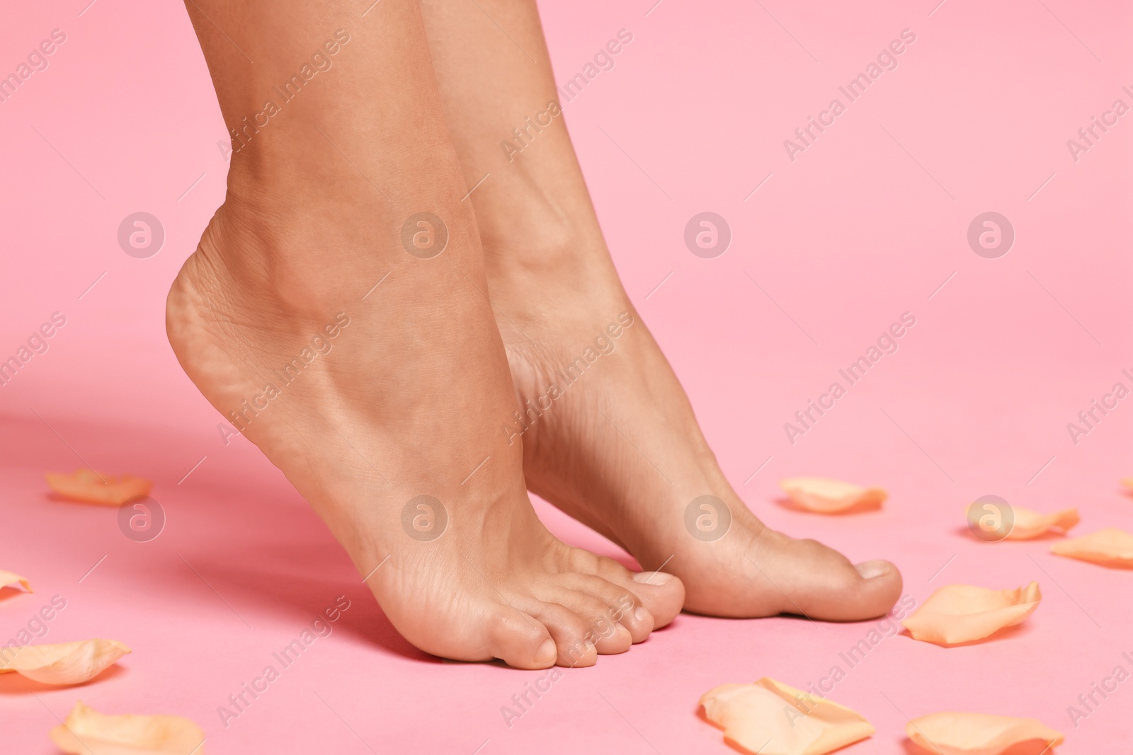 Photo of Woman with smooth feet and petals on pink background, closeup